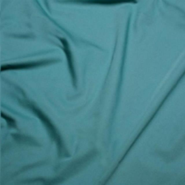 Rental store for NAPKIN, TEAL GREEN POLY in Houston TX